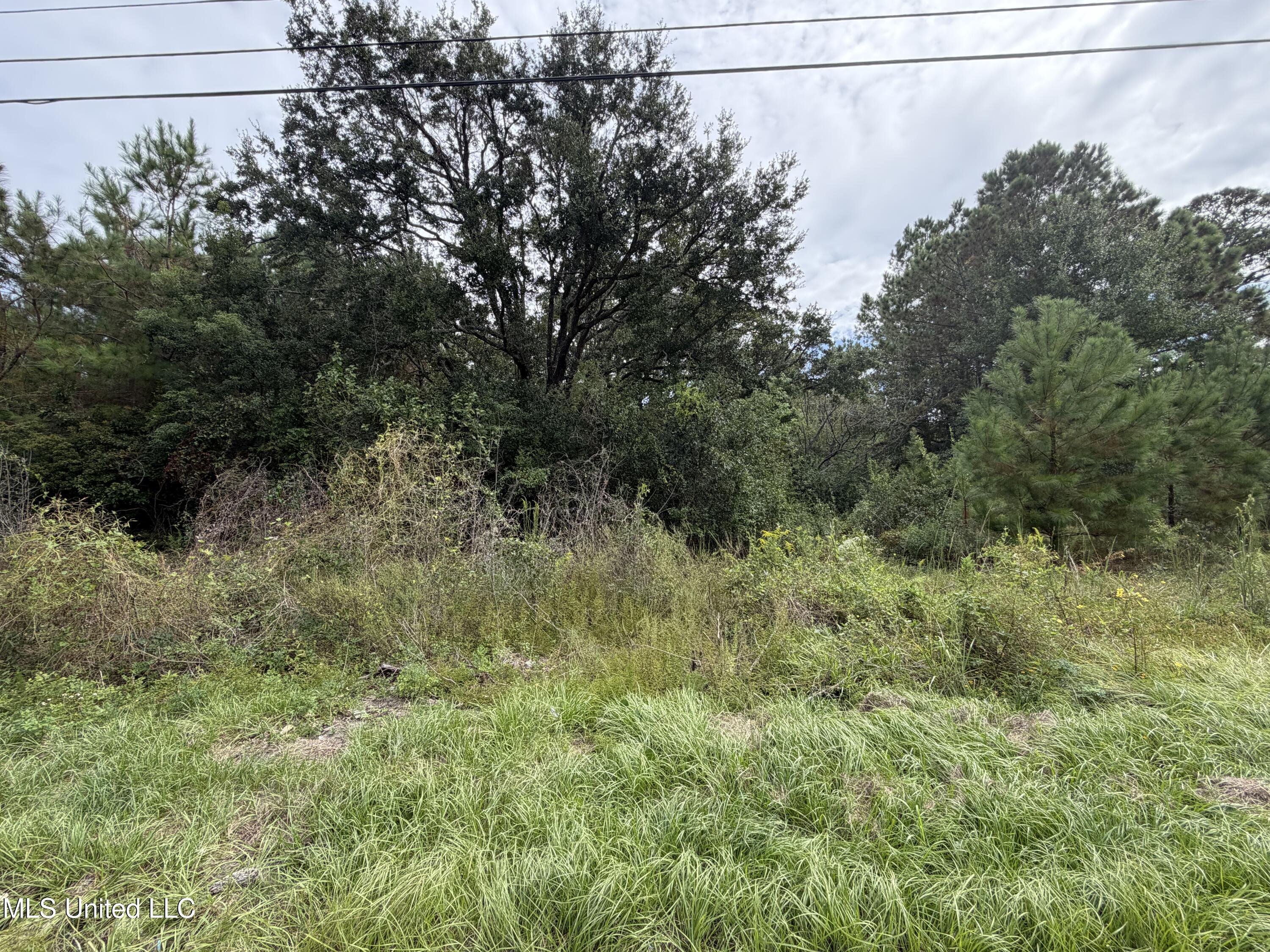 6604 April Bayou Drive Biloxi, MS 39532 - Photo 2 of 3 IMG_0589