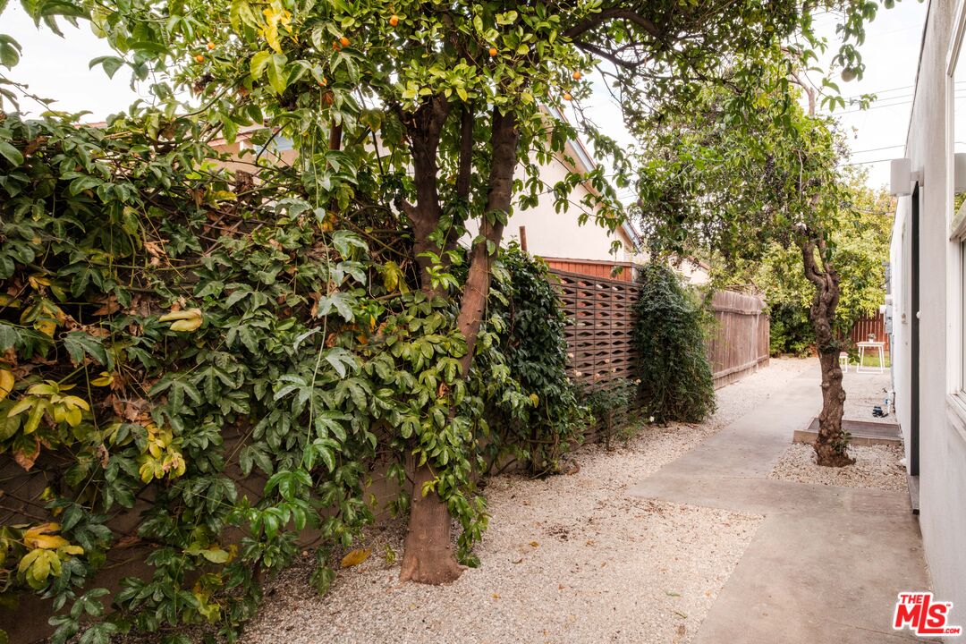 940 East Arroyo Terrace Alhambra, CA 91801 - Photo 44 of 54 a view of outdoor space and covered with trees