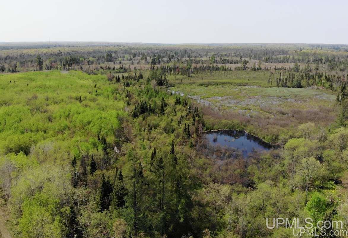 Tbd South Tracy Creek Road Covington, MI 49919 - Photo 11 of 14 Gallery Image 11