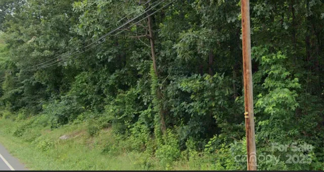 a view of a forest with trees