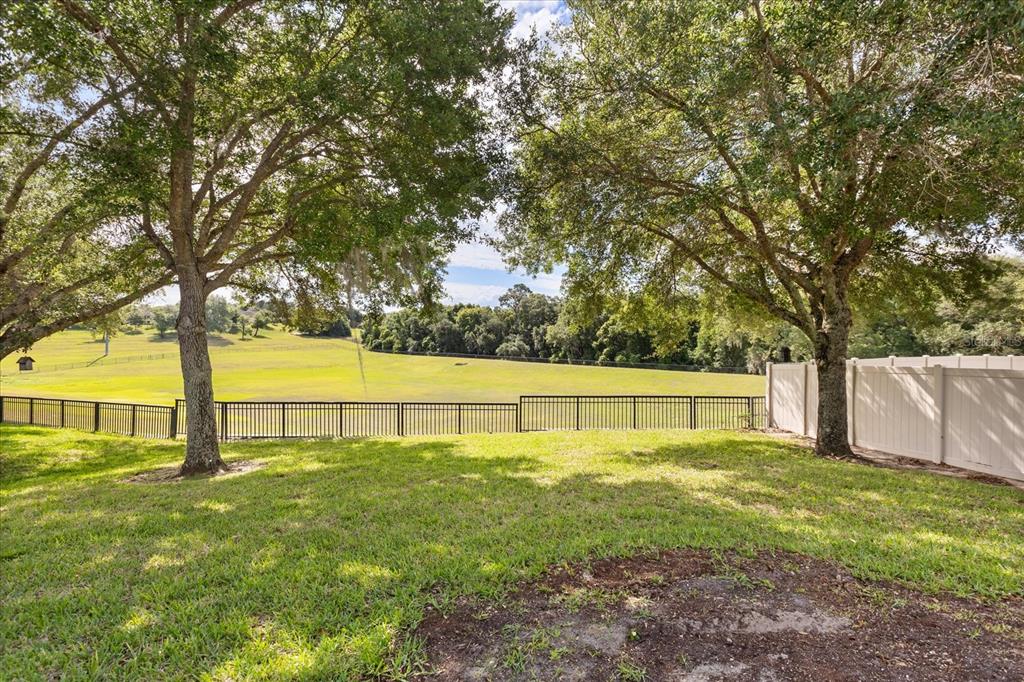 20934 Sullivan Ranch Boulevard Mount Dora, FL 32757 - Photo 21 of 22