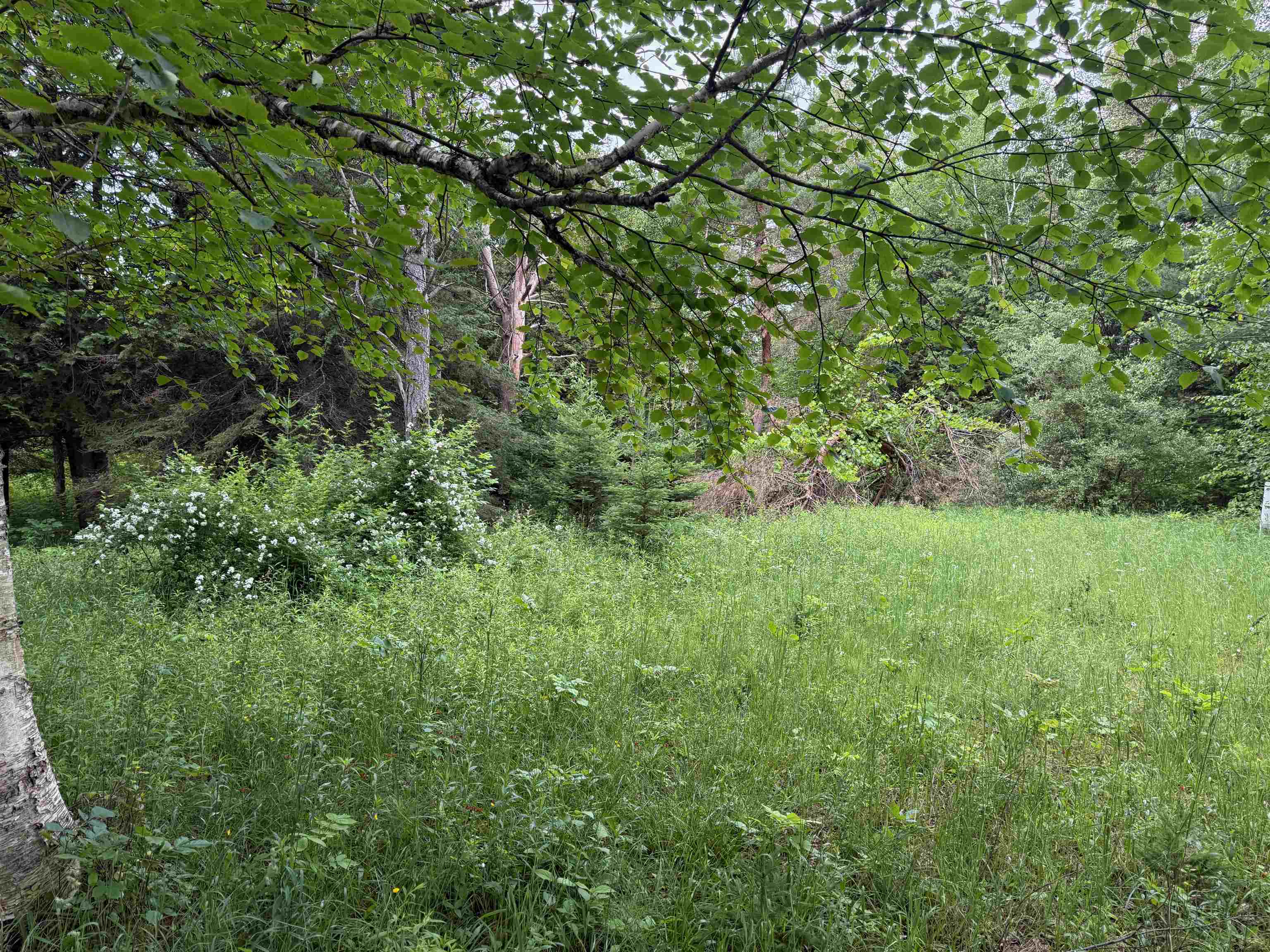 0 South Good Harbor Trail Cedar, MI 49621 - Photo 4 of 13