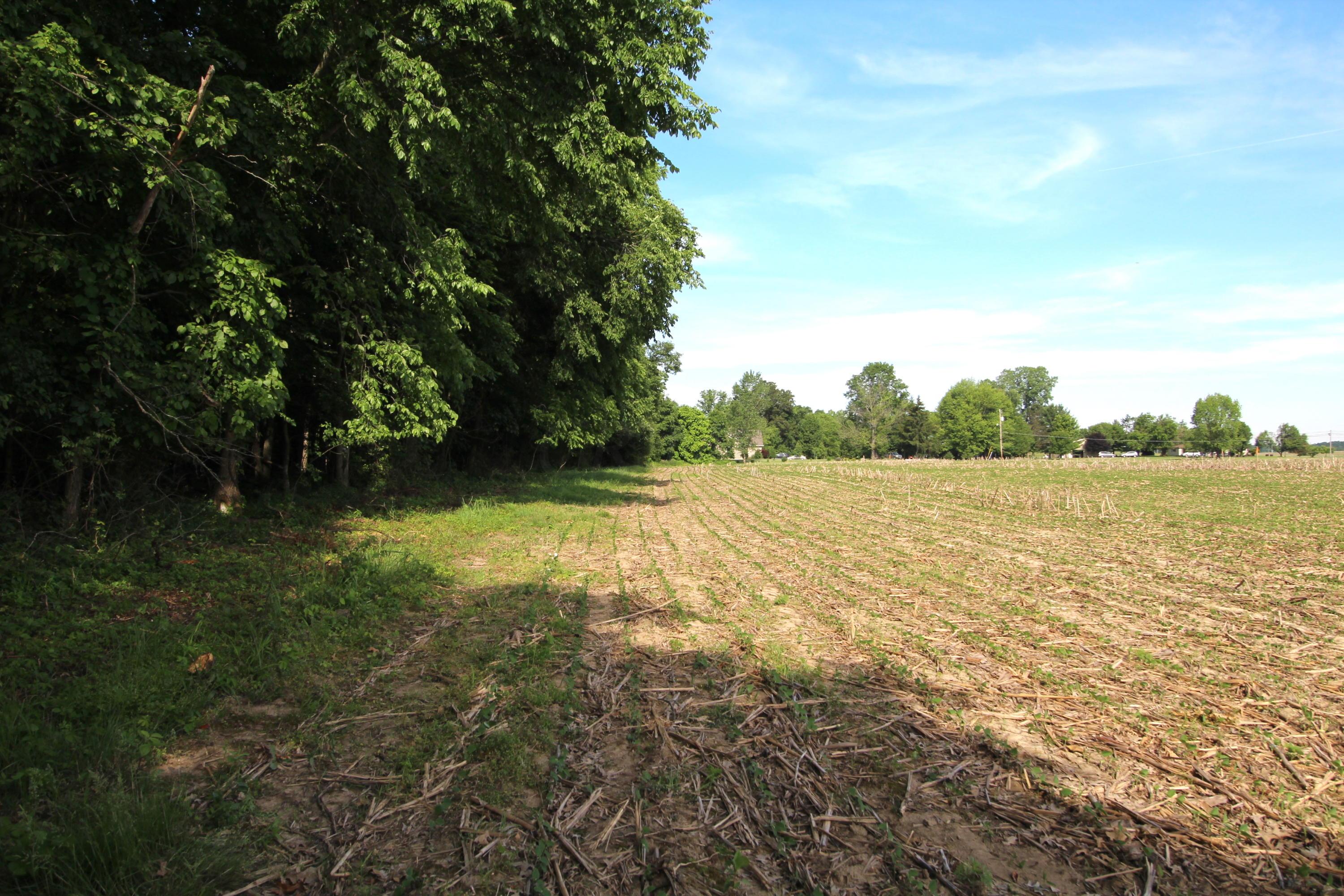 0 Hills-Miller Road Delaware, OH 43015 - Photo 15 of 22