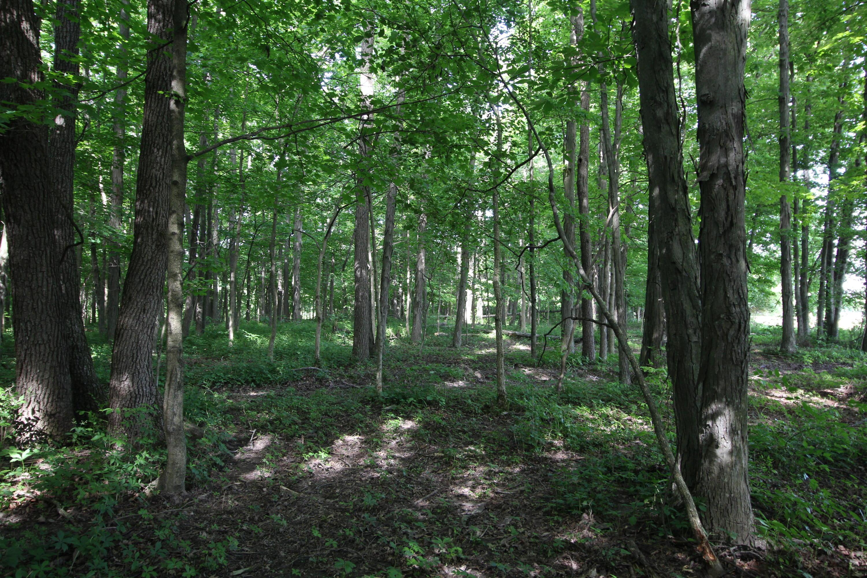 0 Hills-Miller Road Delaware, OH 43015 - Photo 16 of 22