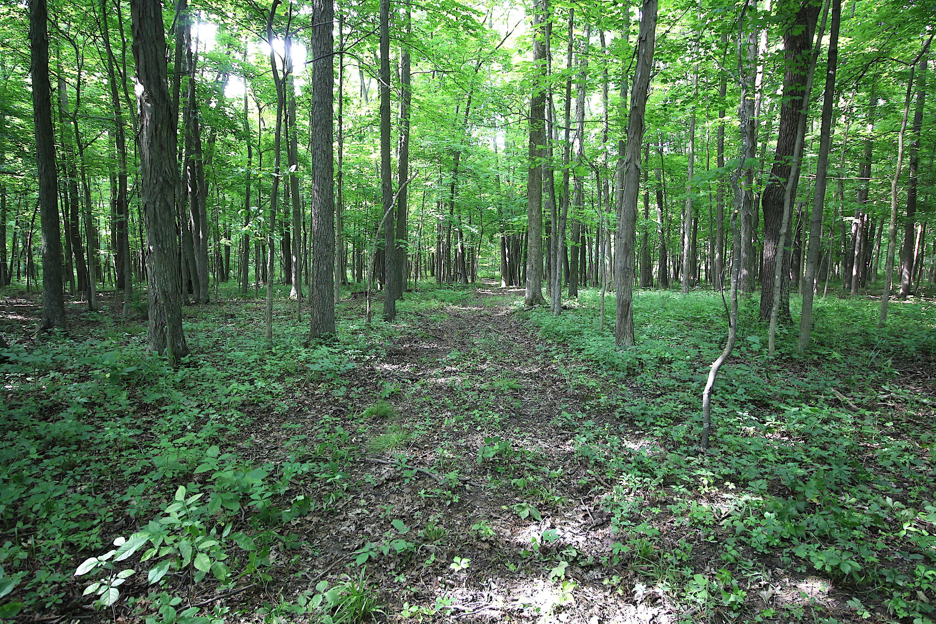 0 Hills-Miller Road Delaware, OH 43015 - Photo 17 of 22