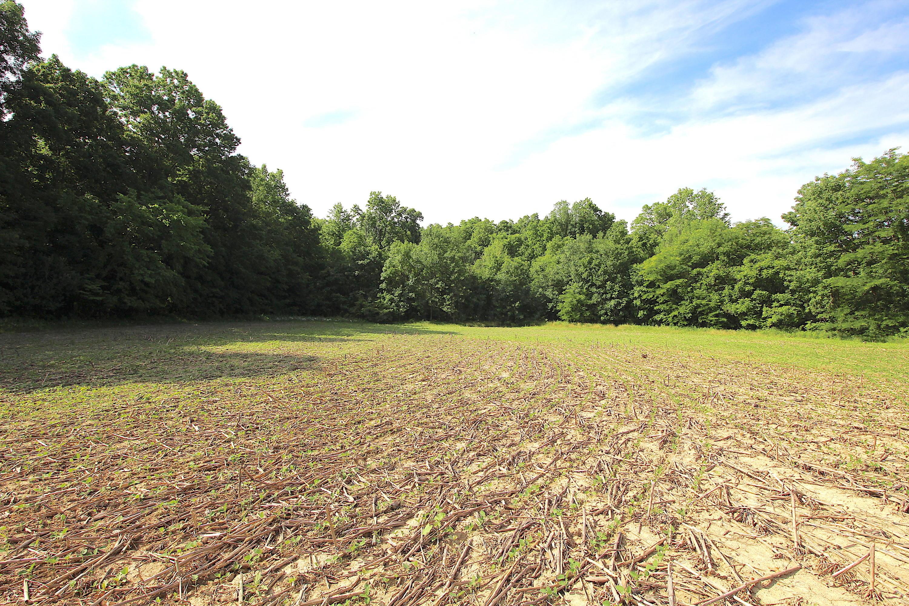 0 Hills-Miller Road Delaware, OH 43015 - Photo 18 of 22