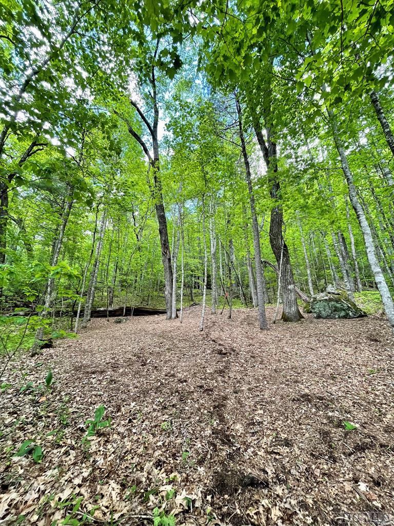 90 Flagstone Road Sapphire, NC 28774 - Photo 3 of 6 Gallery Image 3