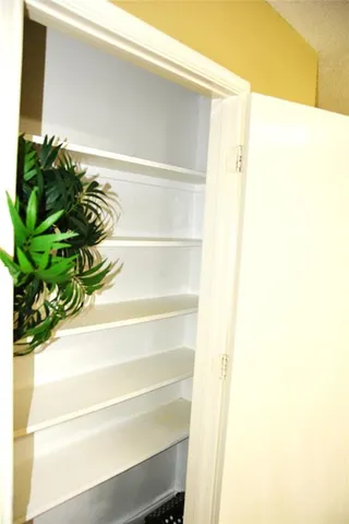 a close up of a shower curtain