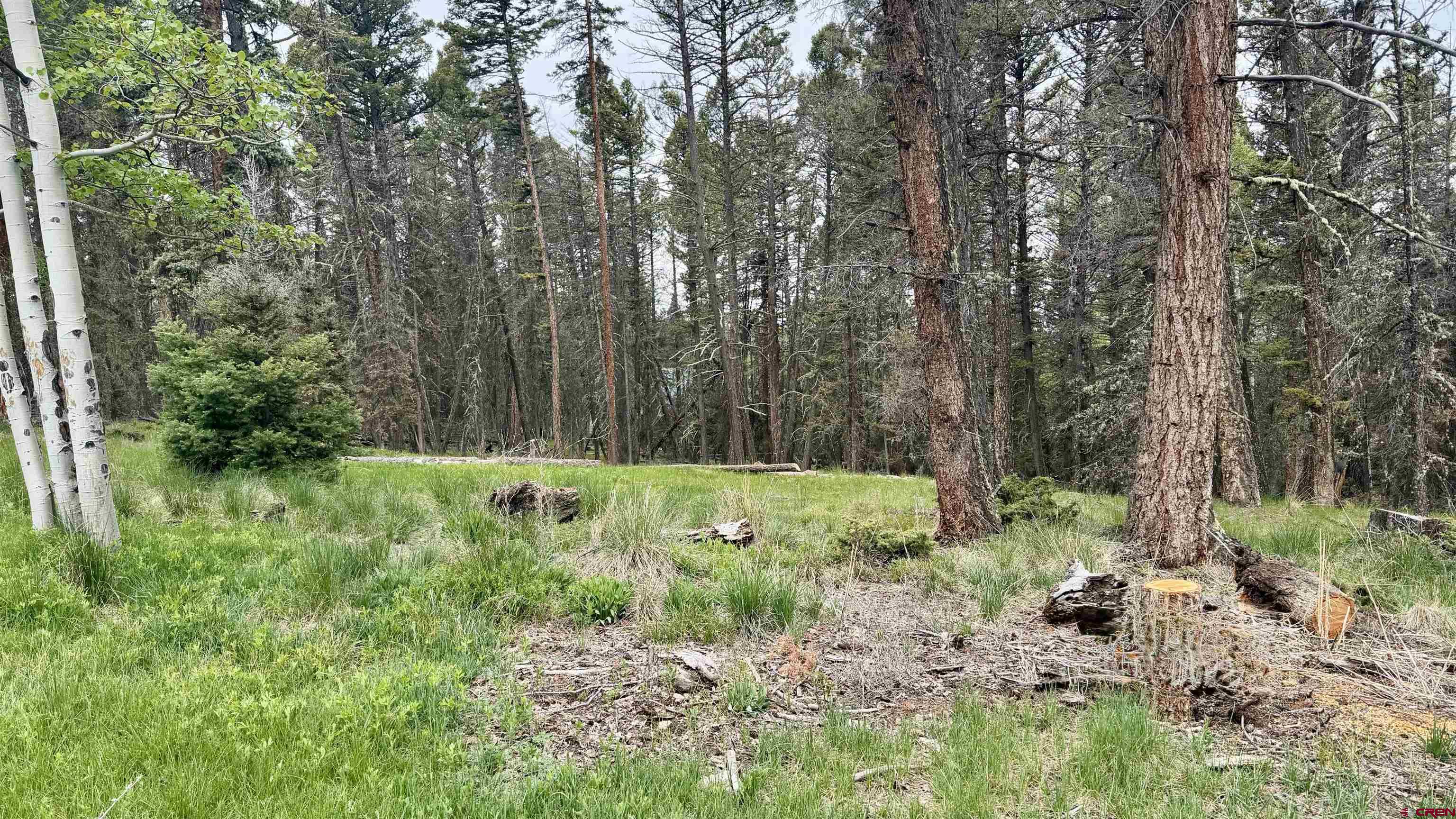 1301 Spruce Road Cimarron, CO 81220 - Photo 8 of 12