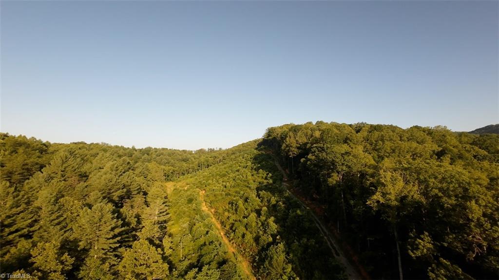 Tbd Hose Road Moravian Falls, NC 28654 - Photo 19 of 20
