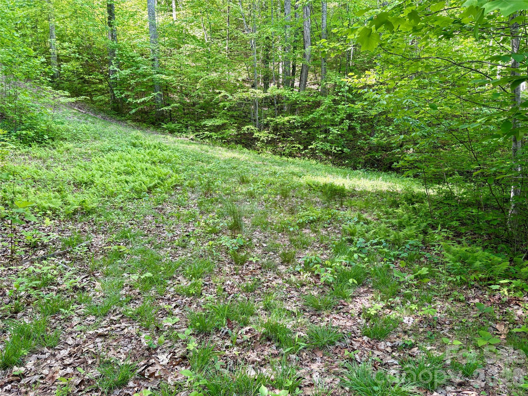 0 Carpenter Road Bryson City, NC 28713 - Photo 18 of 30 Gallery Image 18