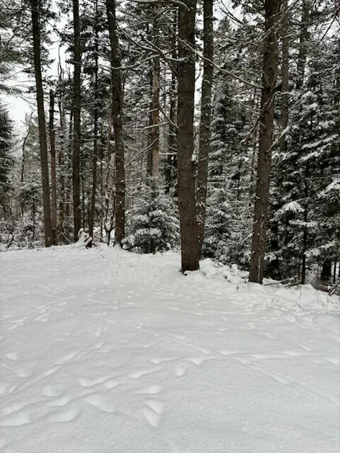 325 Calderwood Road Washington, ME 04574 - Photo 6 of 38 IMG_7350