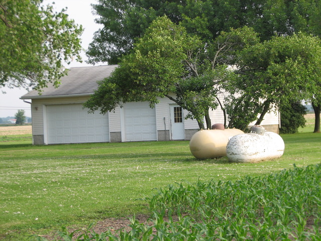 1630 West Mine Road Mazon, IL 60444 - Photo 5 of 6