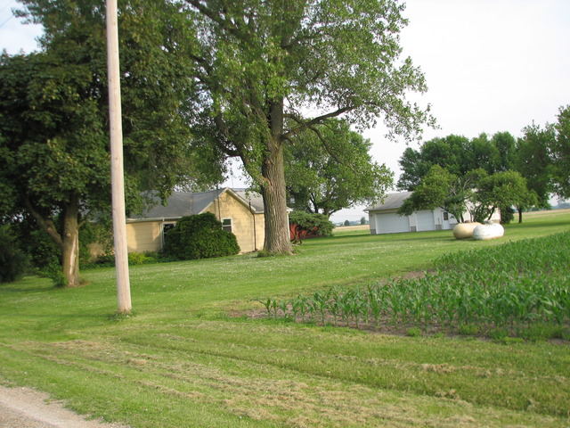 1630 West Mine Road Mazon, IL 60444 - Photo 6 of 6