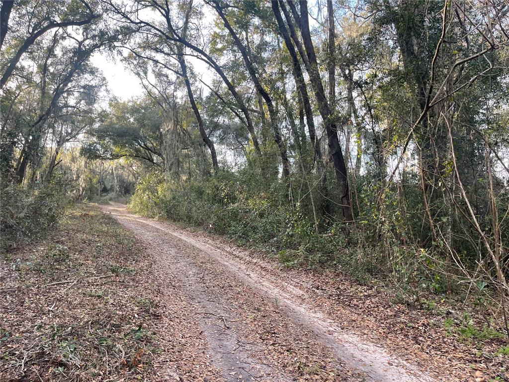 0 Northwest 17th Street, Unit 11 Ocala, FL 34475 - Photo 2 of 7 a view of a forest with trees in the background