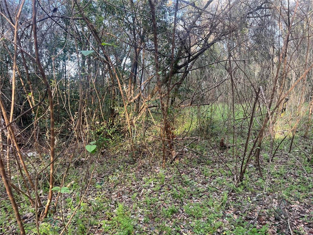 0 Northwest 17th Street, Unit 11 Ocala, FL 34475 - Photo 3 of 7 a view of a yard with a tree