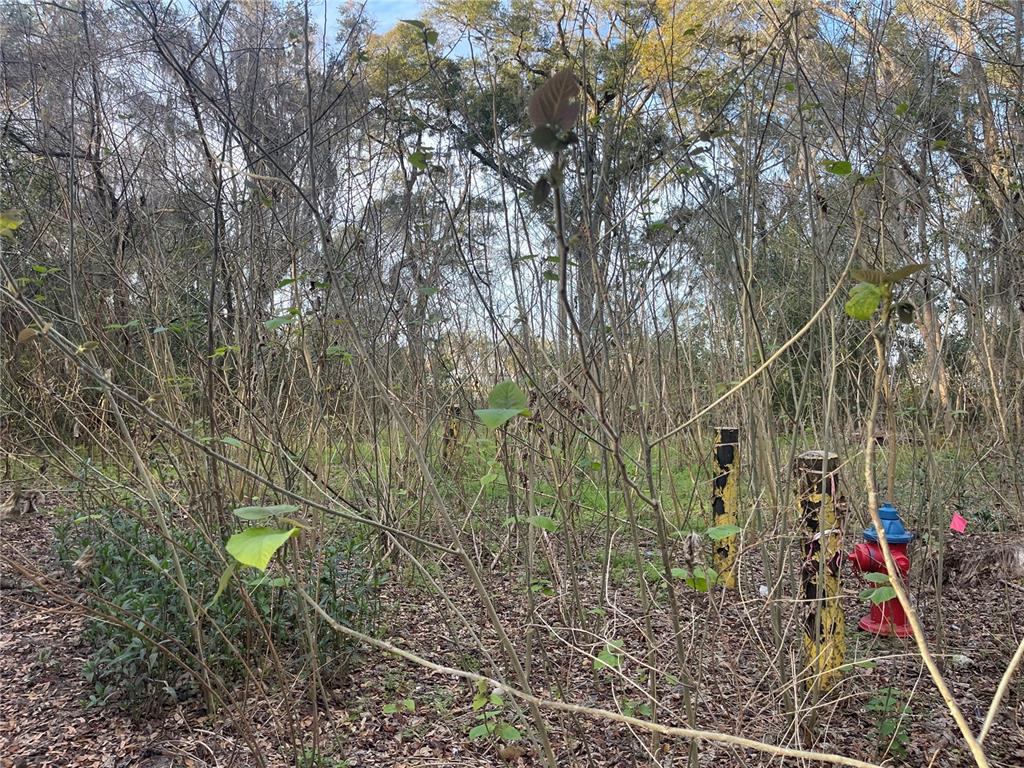 0 Northwest 17th Street, Unit 11 Ocala, FL 34475 - Photo 5 of 7 a backyard of a house with lots of green space