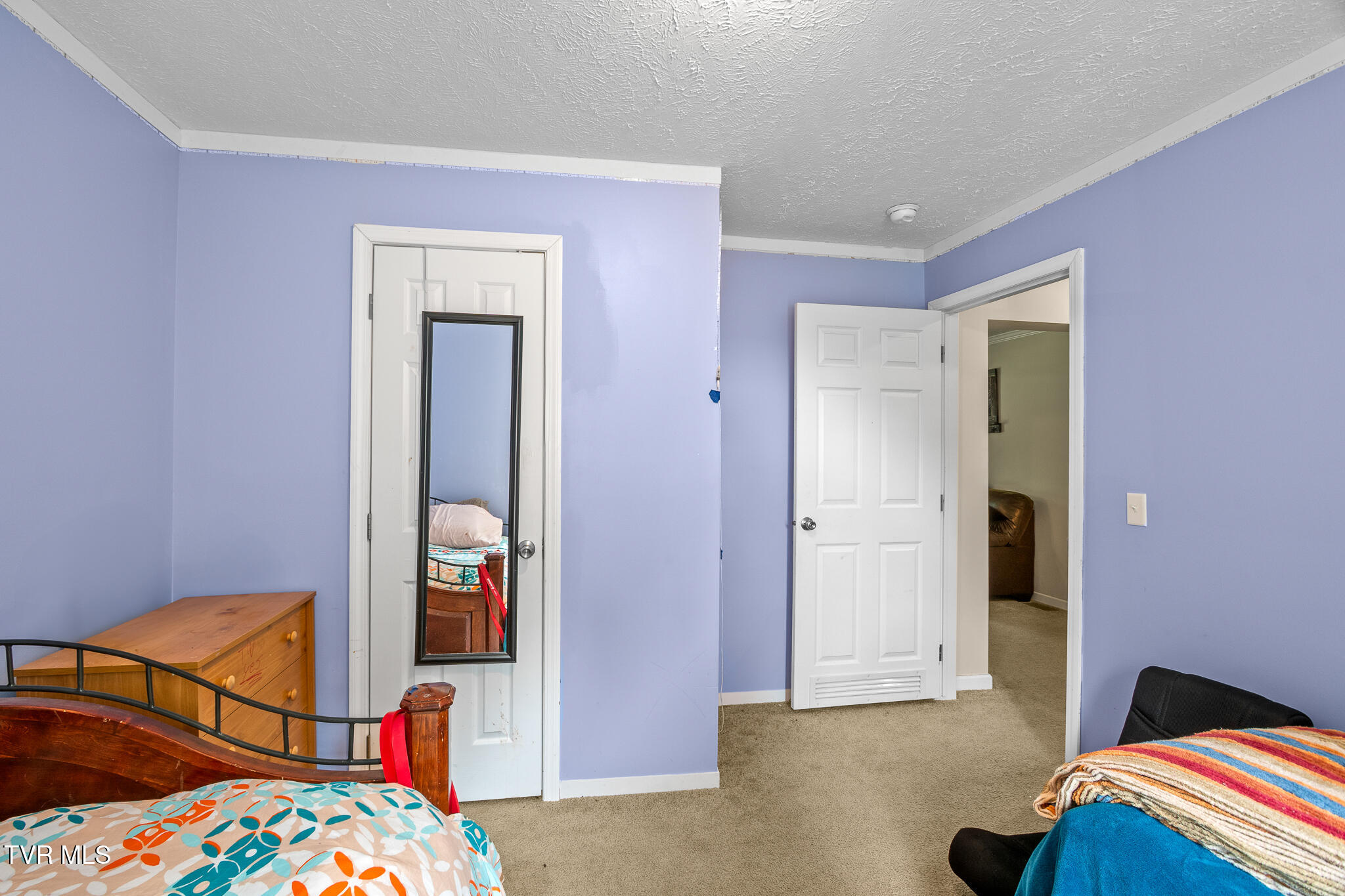 2718 Roseberry Road Mascot, TN 37806 - Photo 19 of 40 DSC06343