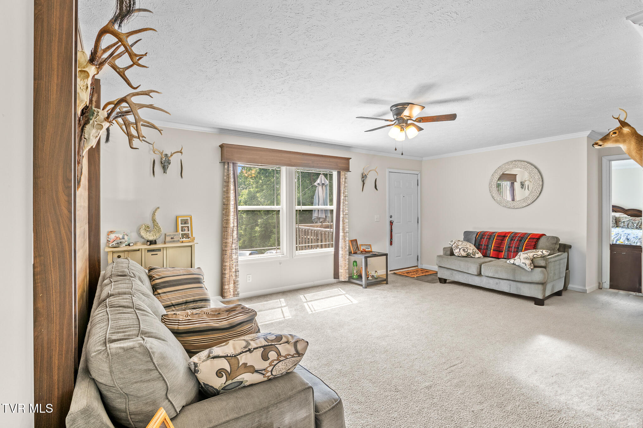 2718 Roseberry Road Mascot, TN 37806 - Photo 5 of 40 DSC06274