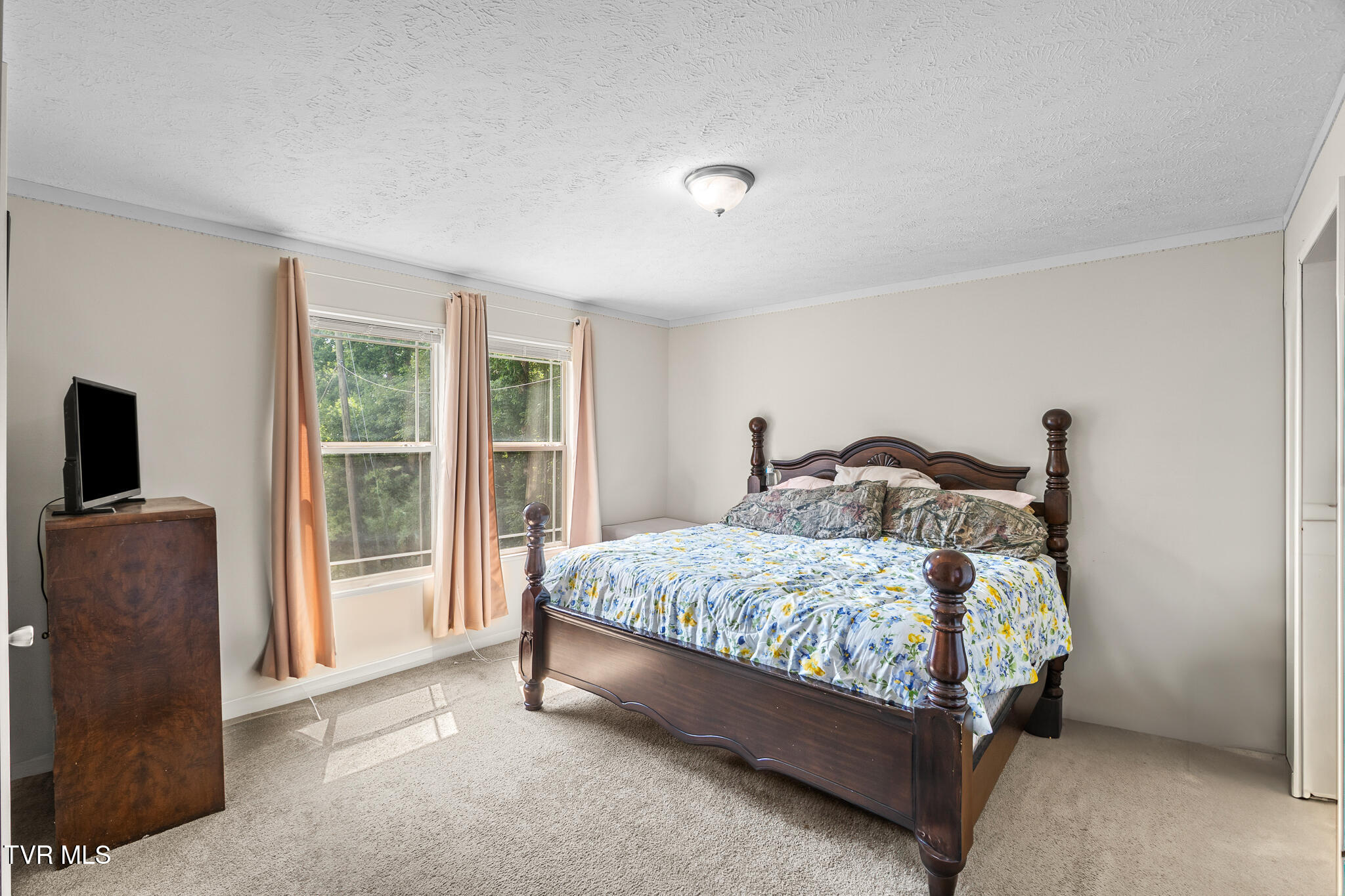 2718 Roseberry Road Mascot, TN 37806 - Photo 6 of 40 DSC06279