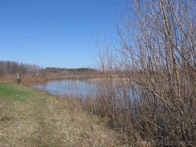 Vl Townsend Applegate, MI 48401 - Photo 2 of 31