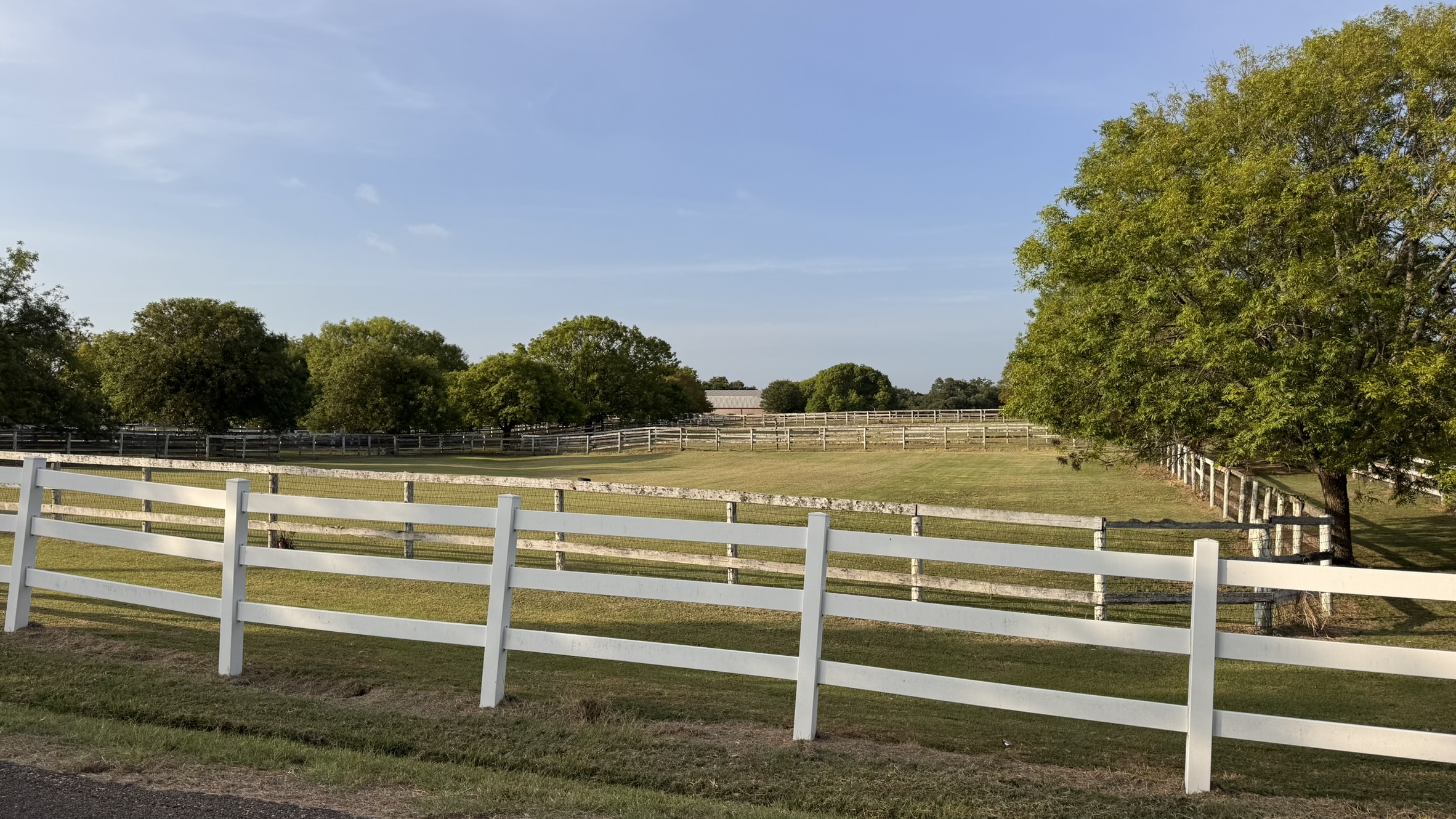 Tbd Summers Mill Road Belton, TX 76513 - Photo 19 of 21 Green pastures and white fencing create an idyllic equestrian estate under a clear sky.
