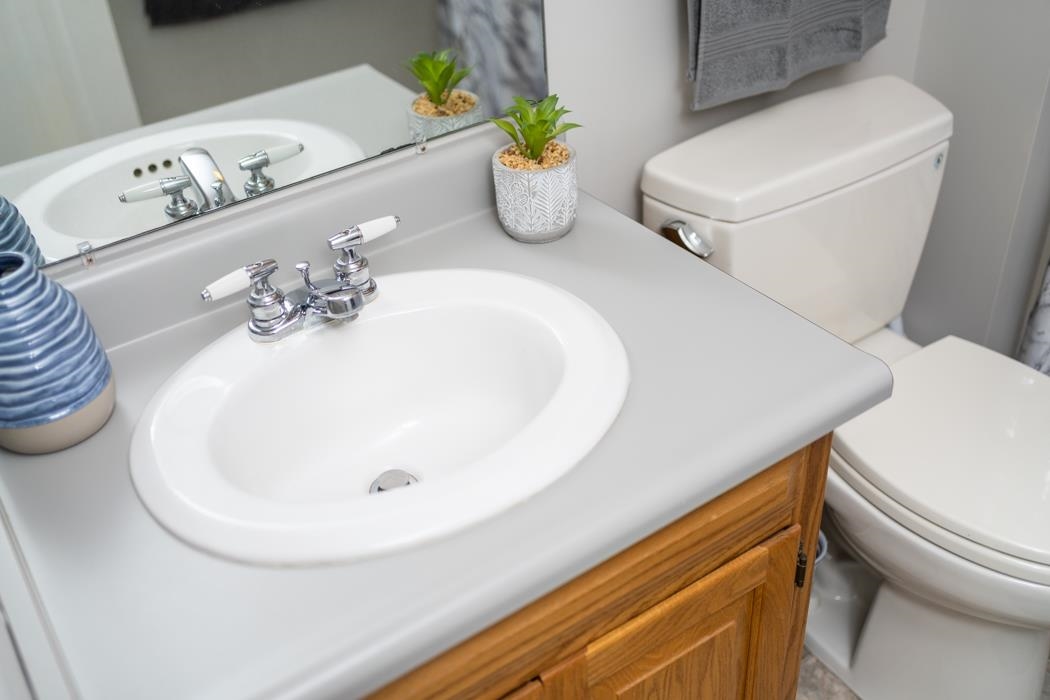 88 Cranberry Drive Stuarts Draft, VA 24477 - Photo 46 of 67 a bathroom with a sink and toilet