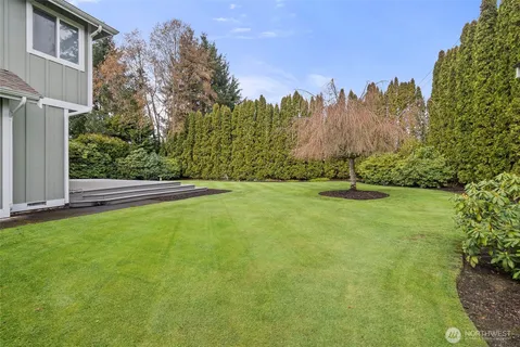 a view of a field of grass and trees