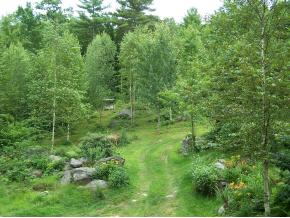 159 Berry River Road Barrington, NH 03825 - Photo 6 of 9