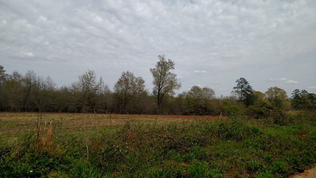 Lot 2 Temple Road Thomson, GA 30824 - Photo 3 of 4