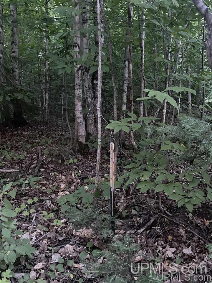 Tbd Rosemund Road Shingleton, MI 49884 - Photo 3 of 6