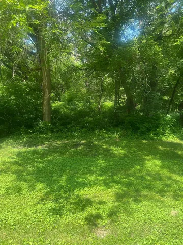 $20,000 | Tbd Lot 1-envelope 1 Tbd Road, Glenwood, MN 56334