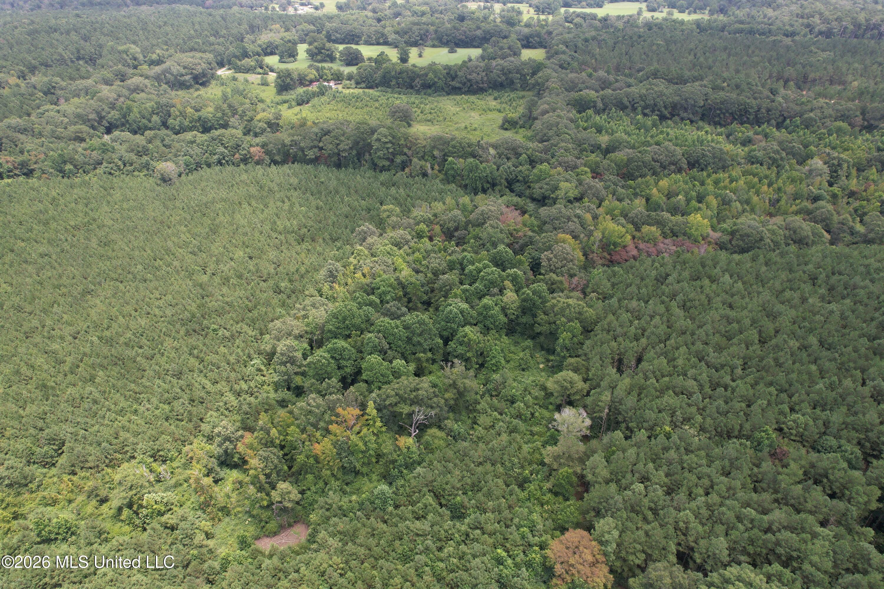 Smith County Road Pulaski, MS 39152 - Photo 5 of 47 DJI_0695