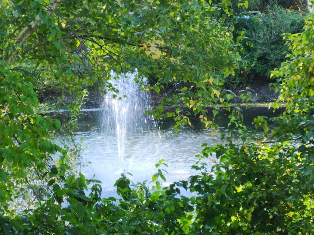 17 Beal's Cove Road, Unit A Hingham, MA 02043 - Photo 28 of 31 a backyard of a house with lots of green space