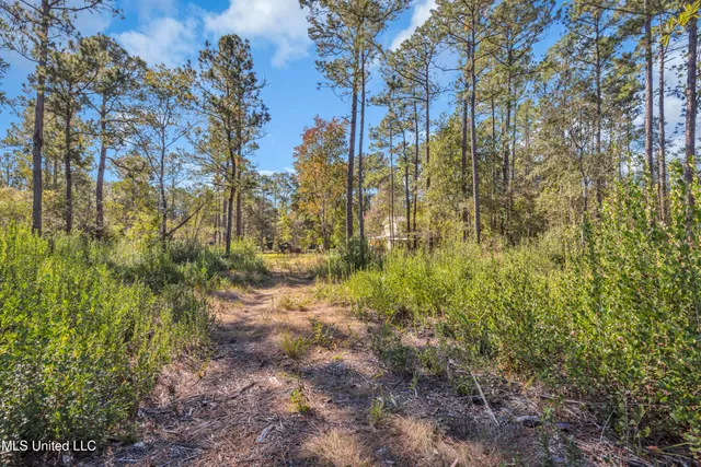 $175,000 | 7008 Crazy Horse Drive, Kiln, MS 39556