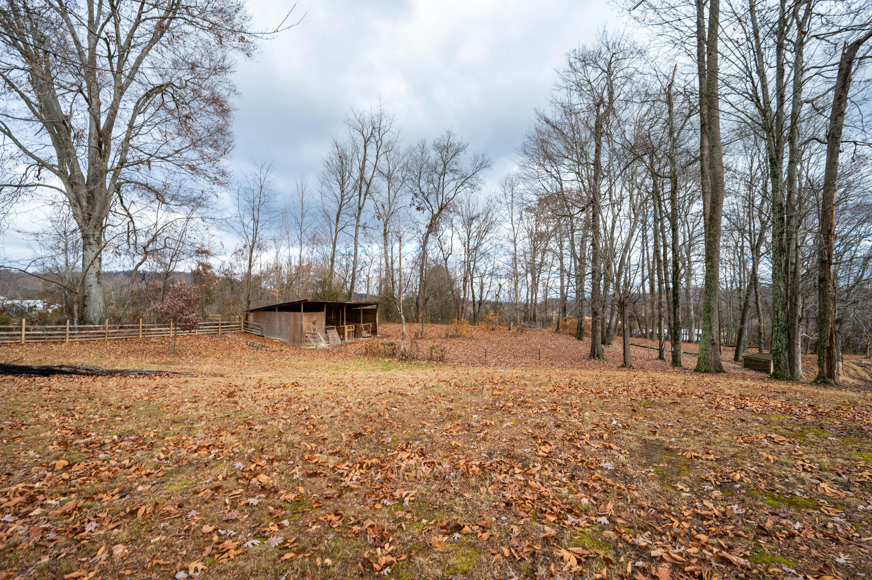 308 Payne Ridge Road Church Hill, TN 37642 - Photo 51 of 57 Payne Ridge Rd-51