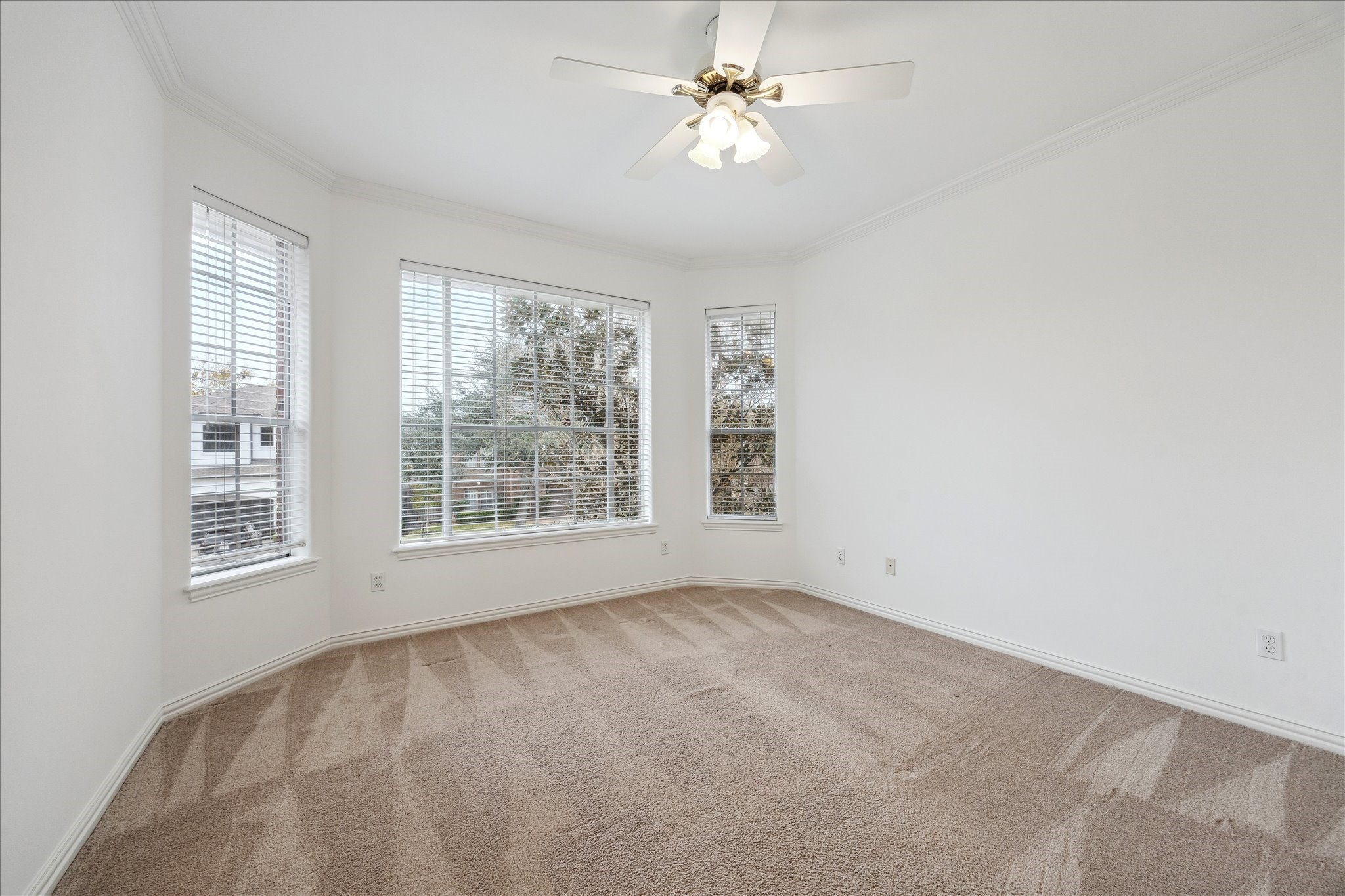 5107 Locust Street Bellaire, TX 77401 - Photo 31 of 45 Spacious secondary bedroom featuring soft carpet, crown molding, and a ceiling fan, with wonderful, large windows providing natural light—an inviting space well suited for guests or everyday living.
