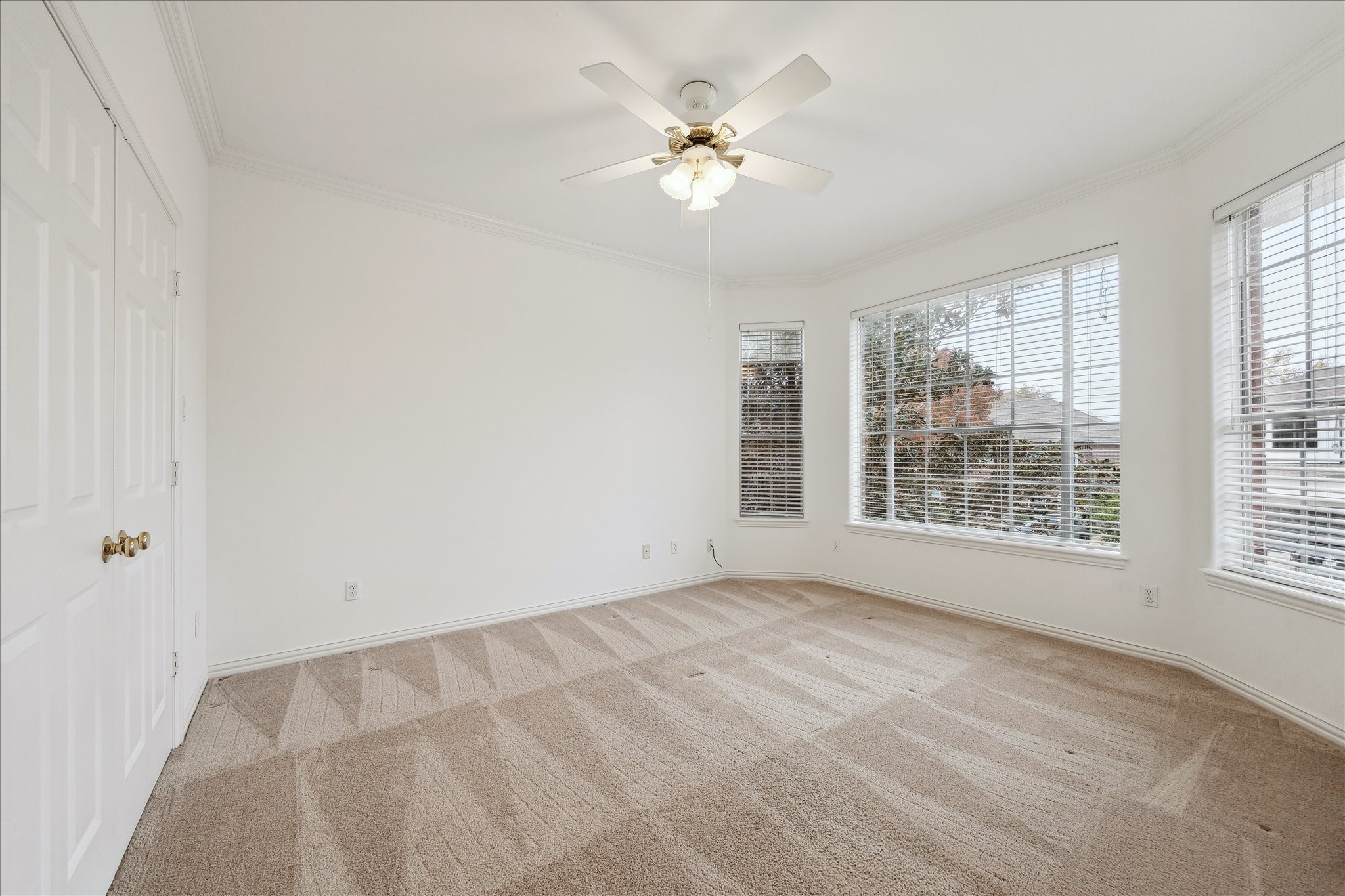 5107 Locust Street Bellaire, TX 77401 - Photo 32 of 45 Bright secondary bedroom featuring plush carpet, crown molding, a ceiling fan, & fantastic windows that provide natural light, offering a comfortable and versatile space for guests or family.