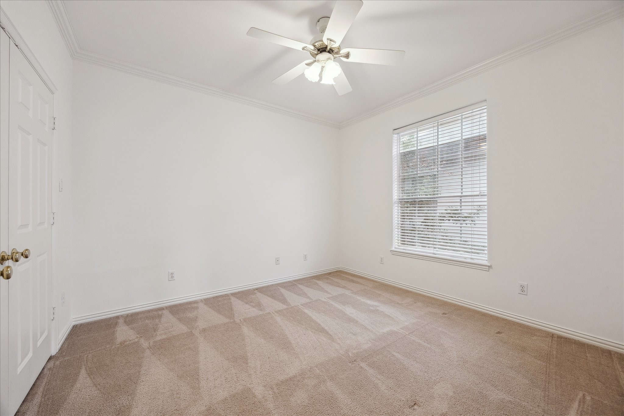 5107 Locust Street Bellaire, TX 77401 - Photo 33 of 45 Spacious secondary bedroom featuring soft carpet, crown molding, and a ceiling fan, with a large window providing natural light.