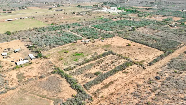 a view of a yard in the yard