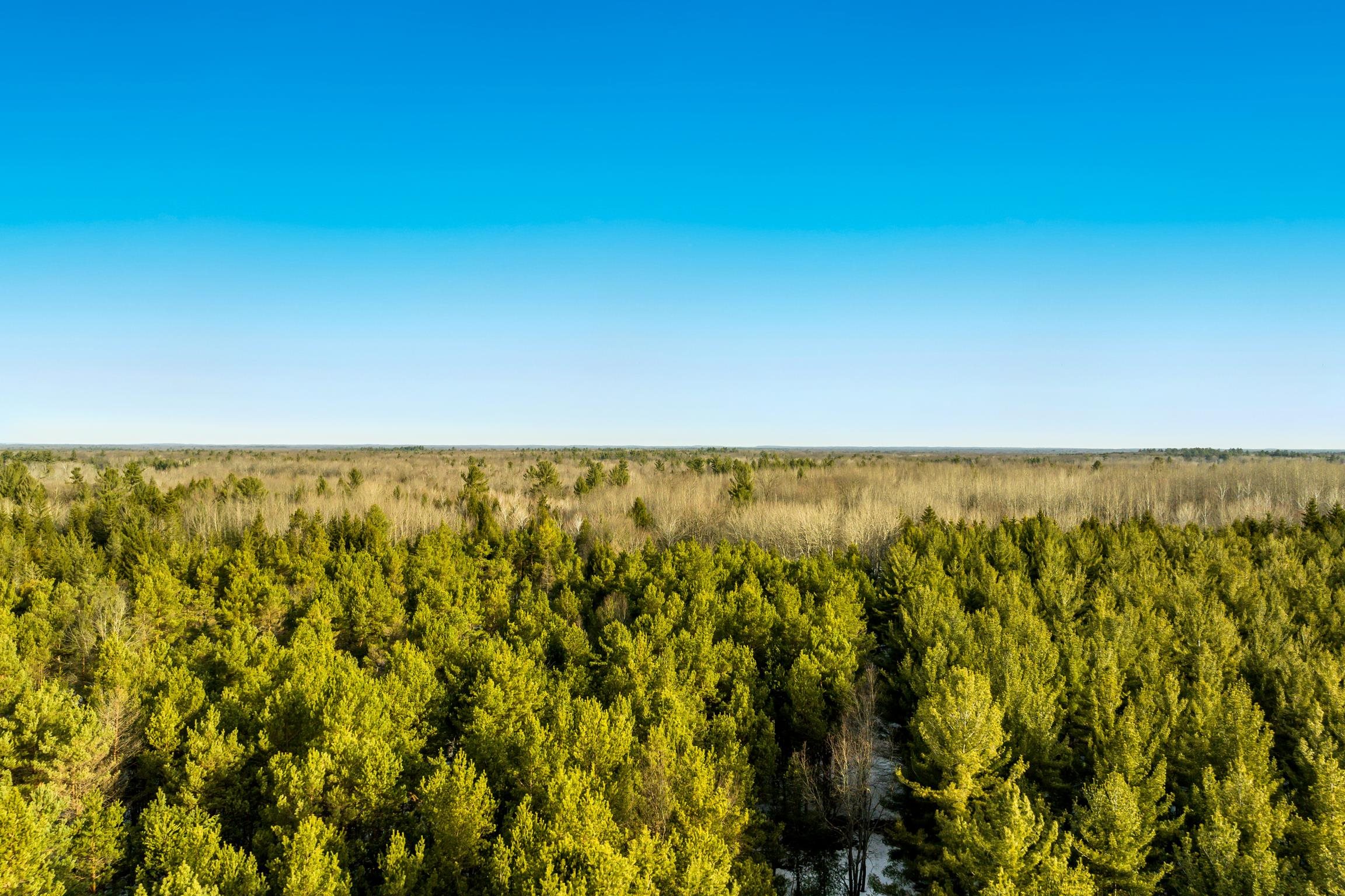V/l Keffer Road Kingsley, MI 49649 - Photo 6 of 11