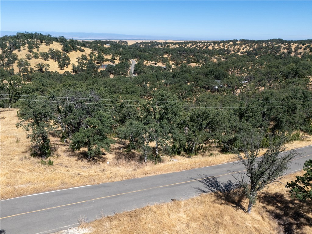 16398 Lariat Loop Corning, CA 96021 - Photo 6 of 15
