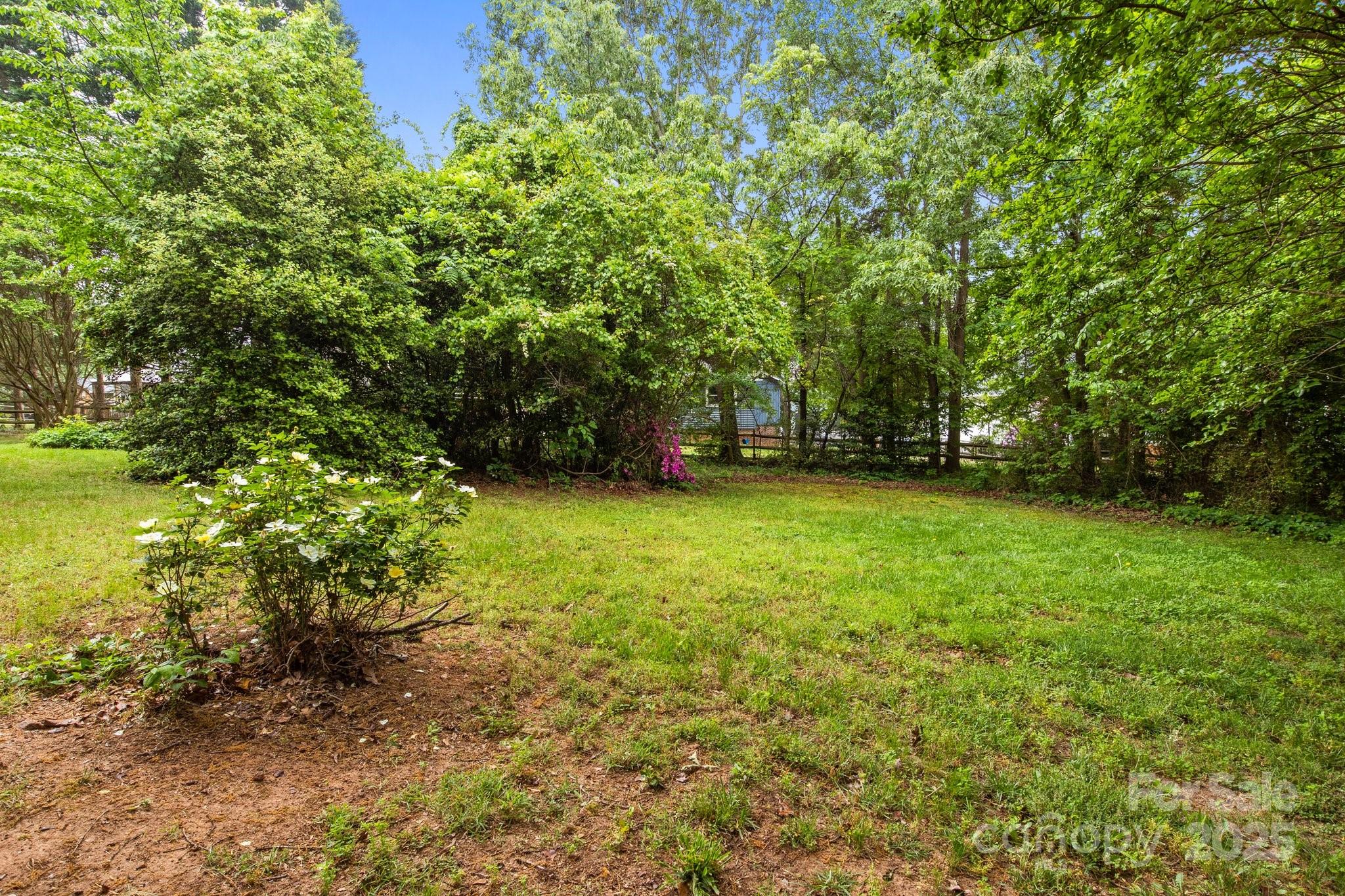 8368 Fairfield Forest Road Denver, NC 28037 - Photo 45 of 48 a view of a yard with a tree