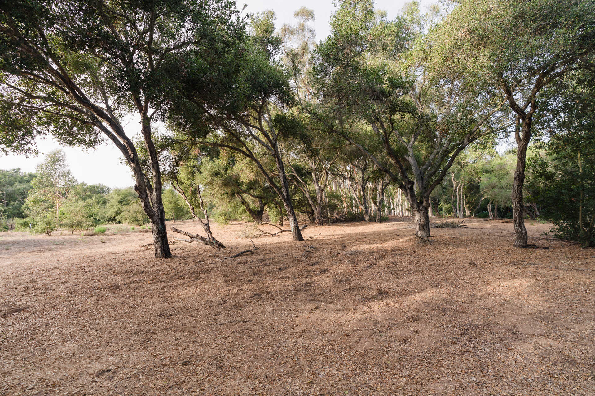 700 Riven Rock Road Montecito, CA 93108 - Photo 16 of 23 image_l_14