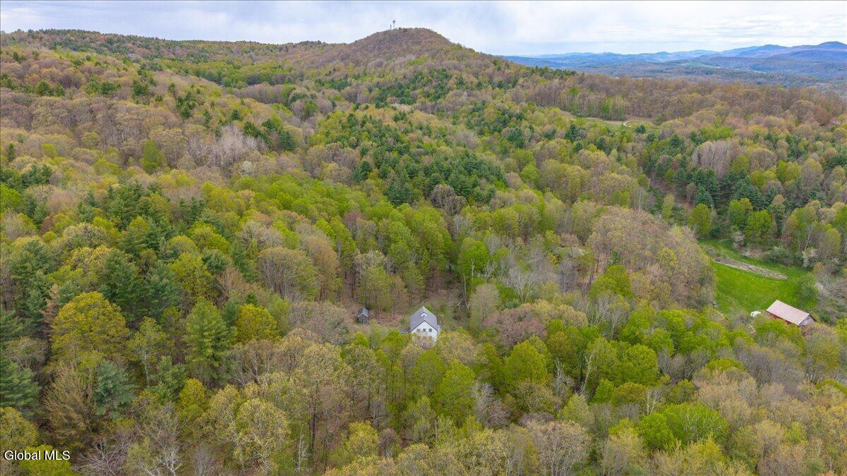 235 Colfax Road Jackson, NY 12816 - Photo 43 of 53 63-235 Colfax Rd-20