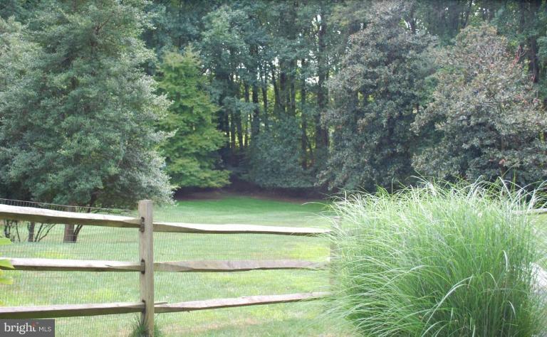 1694 Beulah Road Vienna, VA 22182 - Photo 21 of 30 Private Yard With Gorgeous Mature Trees