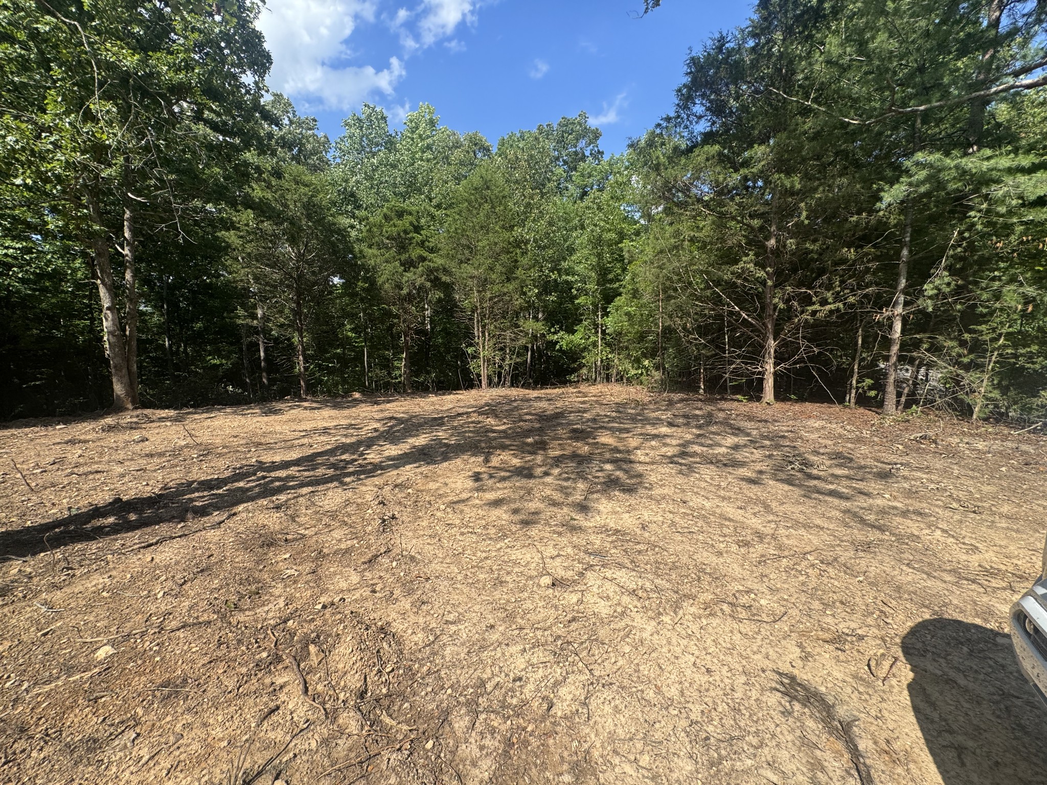 1 Commissary Ridge Road Indian Mound, TN 37079 - Photo 5 of 9 a street view with large trees