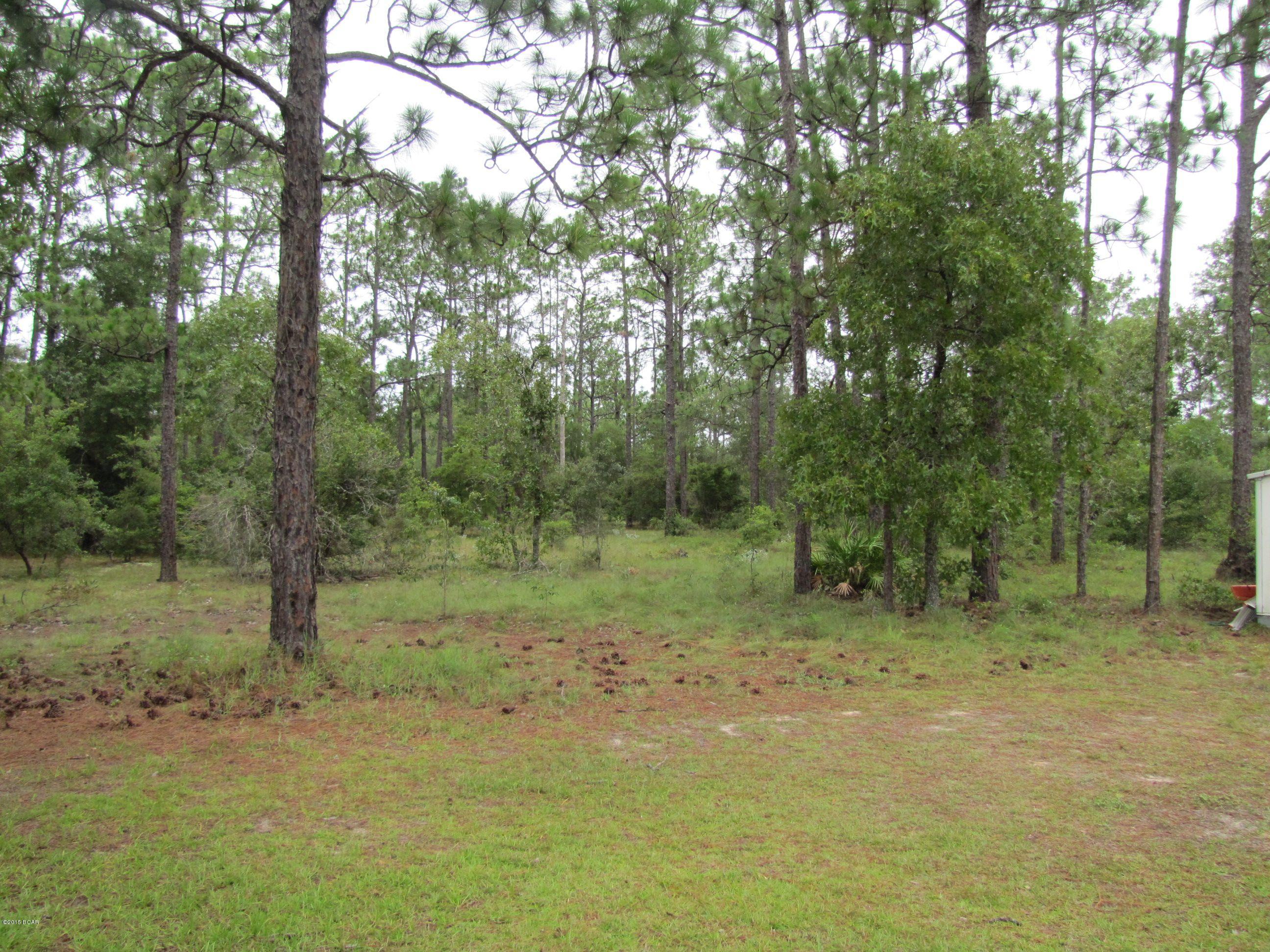 3064 Turkey Run Road Chipley, FL 32428 - Photo 11 of 15 Gallery Image 11