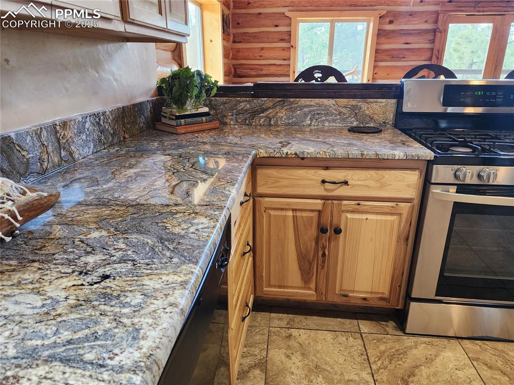 1226 E Path Cotopaxi, CO 81223 - Photo 15 of 49 Stainless appliances