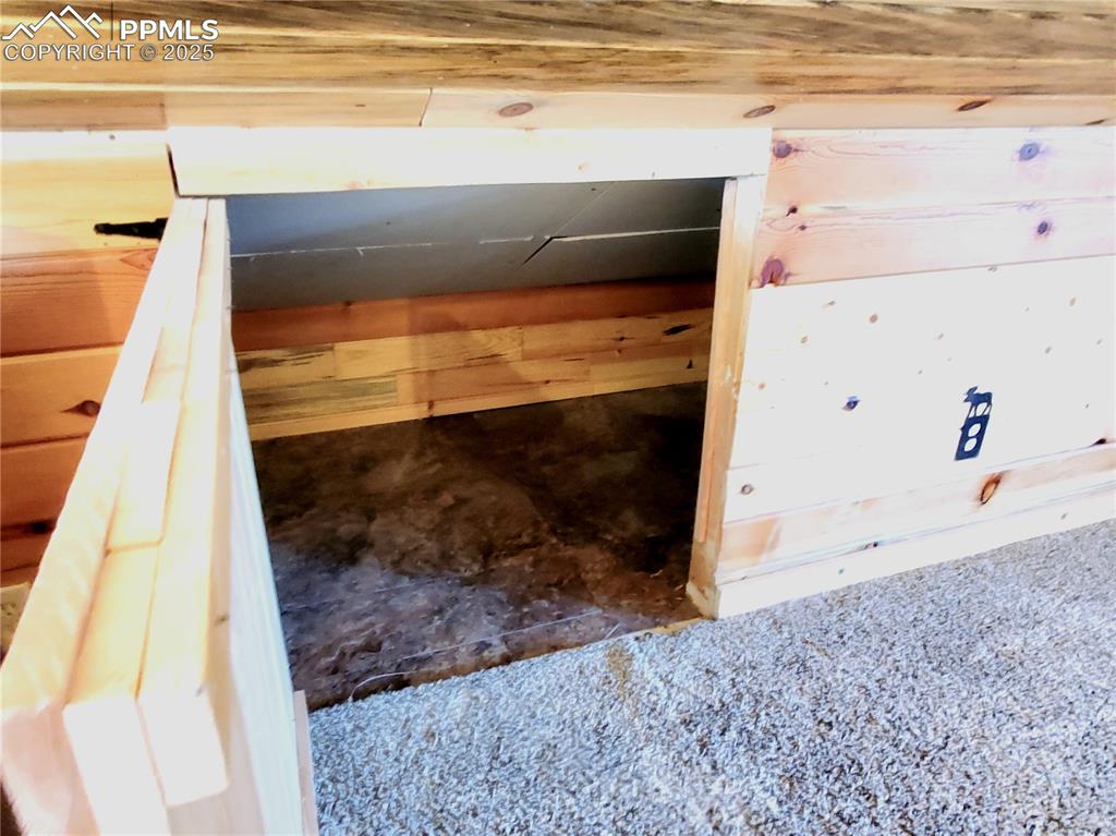 1226 E Path Cotopaxi, CO 81223 - Photo 23 of 49 Loft has 4 access doors to storage under the eaves